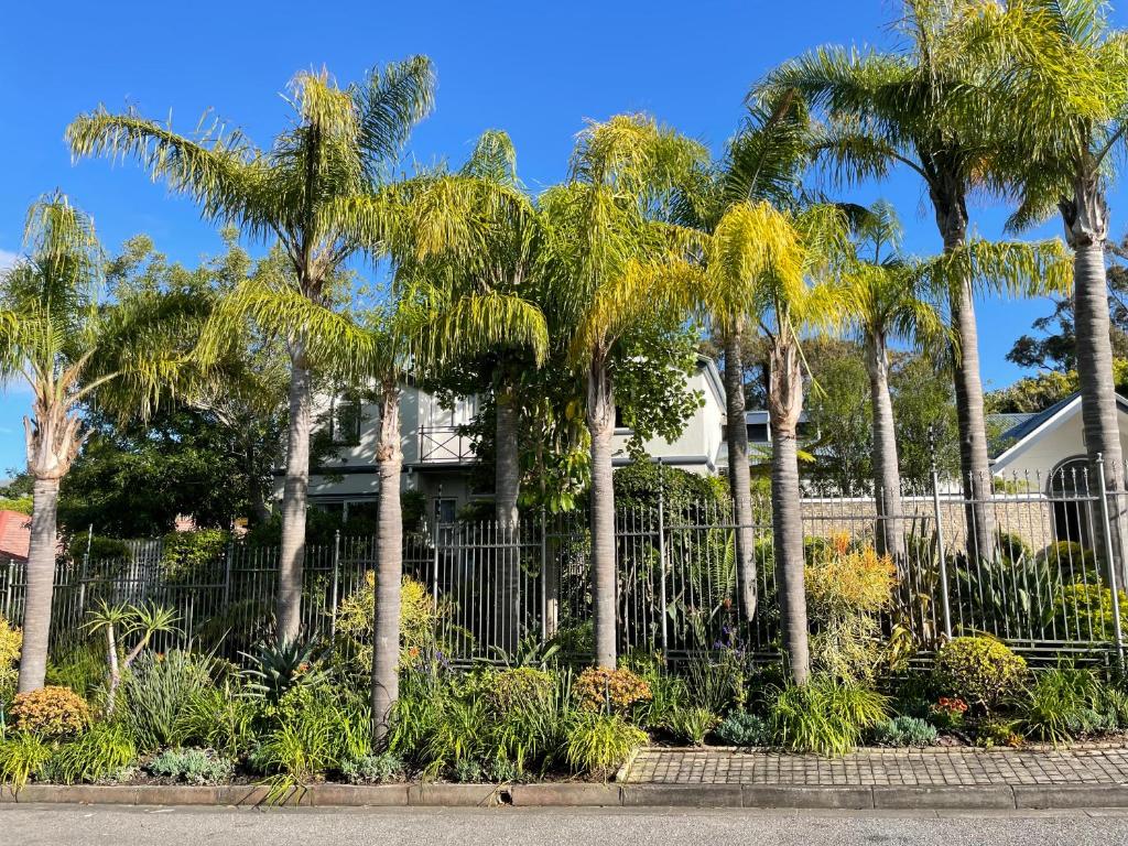 开普敦Constantiaberg Eco-Villa的房屋前有棕榈树的围栏