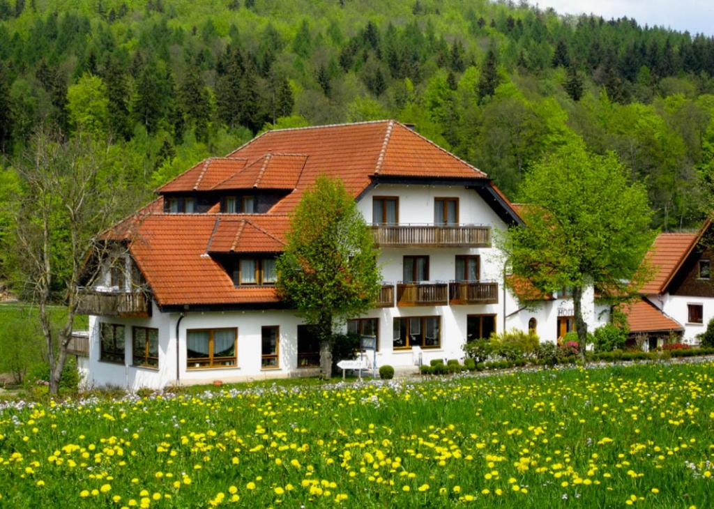 波彭豪森Rhön-Hotel Sonnenhof - Restaurant & Café的相册照片