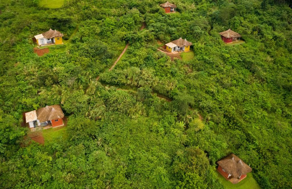  Kibale Forest National Park易松加旅馆的森林中一群房子的头顶景观