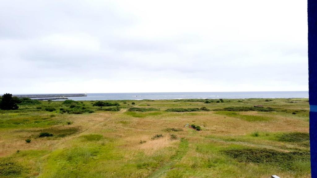 San Juan de la ArenaApartamento en San Juan de L'arena的一片草地,背靠海洋