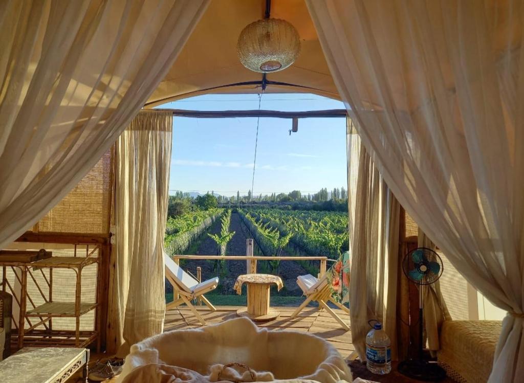 圣拉斐尔Al Aire Libre的卧室设有大窗户,享有葡萄园的景色