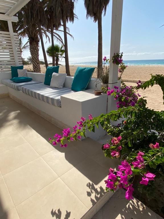 CabeçadasVilla Nº25b Alfredo Marchetti suites on the beach Praia di Chaves的海滩上种着紫色花的长凳