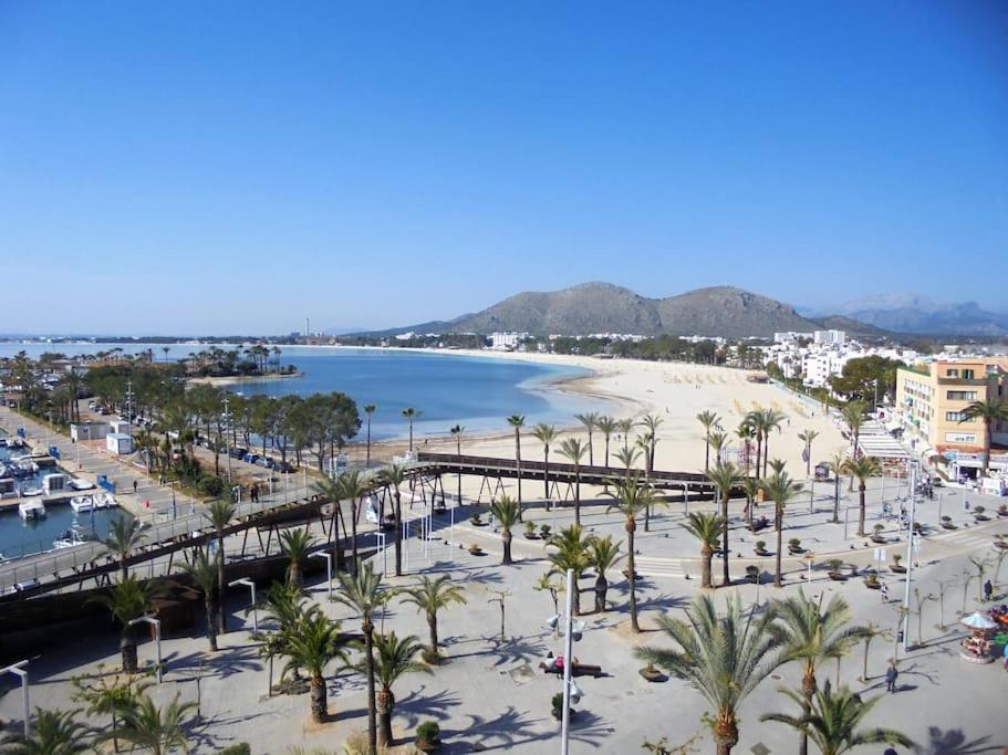 阿尔库迪亚港Tranquilo apartamento con vistas al mar.的享有棕榈树海滩和桥梁的景色