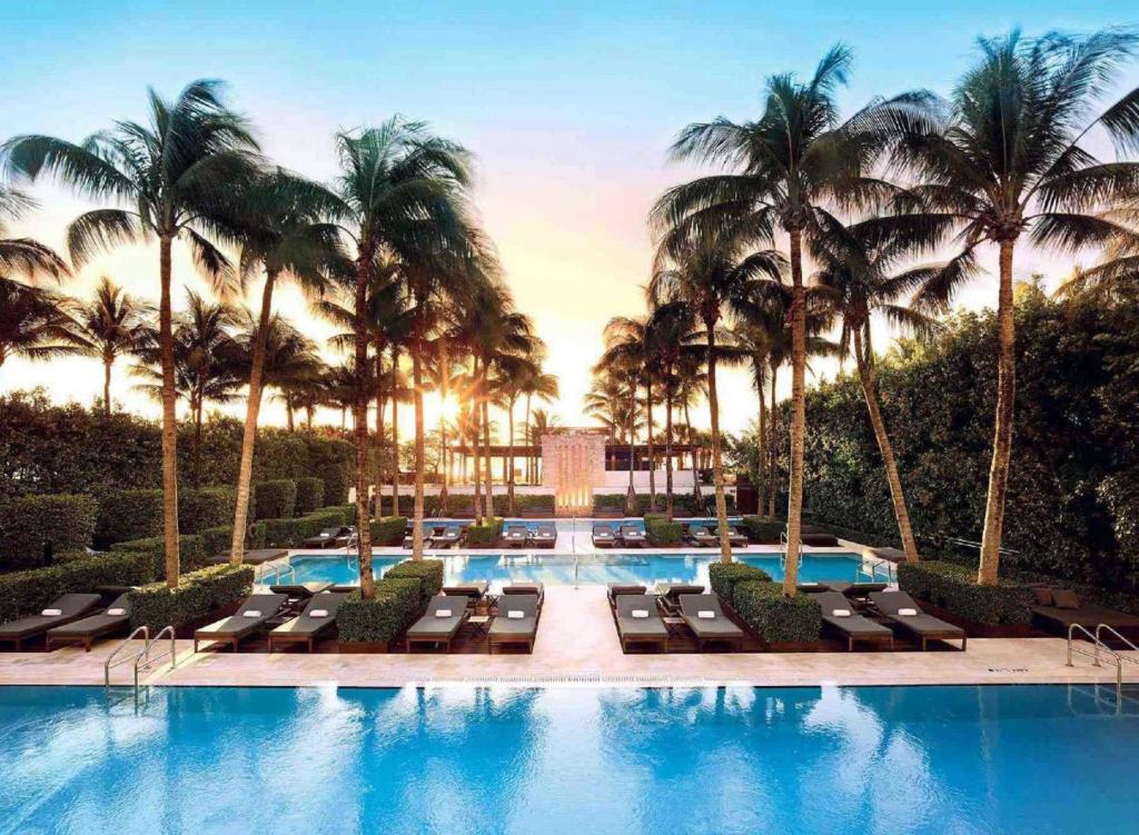 迈阿密海滩迈阿密海滩时代酒店的一个带躺椅的游泳池,棕榈树