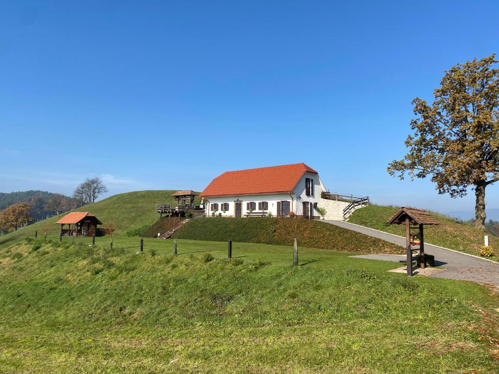 ŠtoreTourist farm Artisek的草山顶上的房子