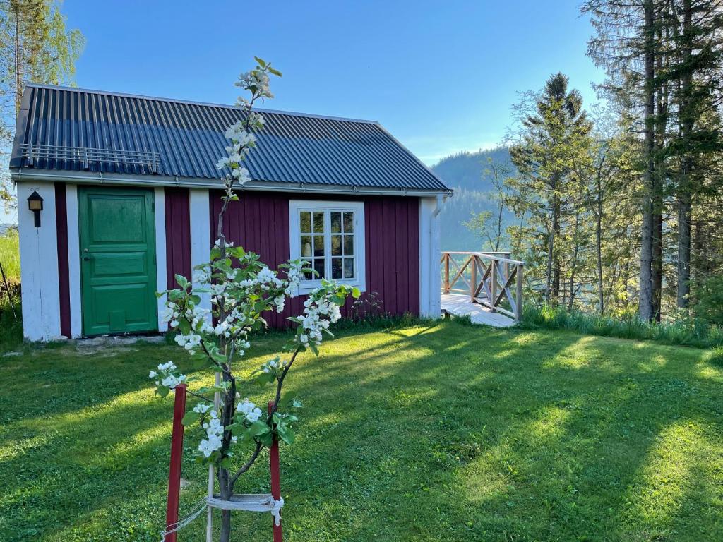NordingråAteljéstugan med magisk utsikt的一座红色和白色的小房子,院子里有一棵树