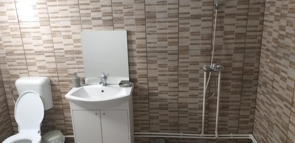 Proviţa de SusCabana „Stâna din Deal”的一间带水槽、卫生间和淋浴的浴室
