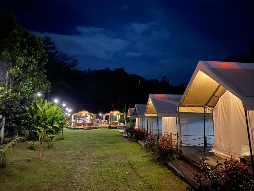 Kampong Sum SumCanopy Villa Tampik Valley的夜晚在院子里的一排帐篷