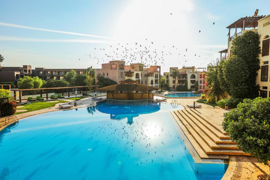 亚喀巴Tala Bay Residence的一座大型游泳池,那里有飞天的鸟儿