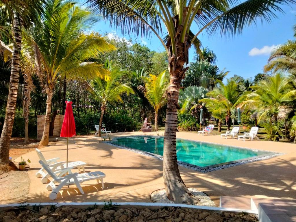 帕克蒙美丽的花度假村的一座拥有棕榈树和红伞的度假游泳池