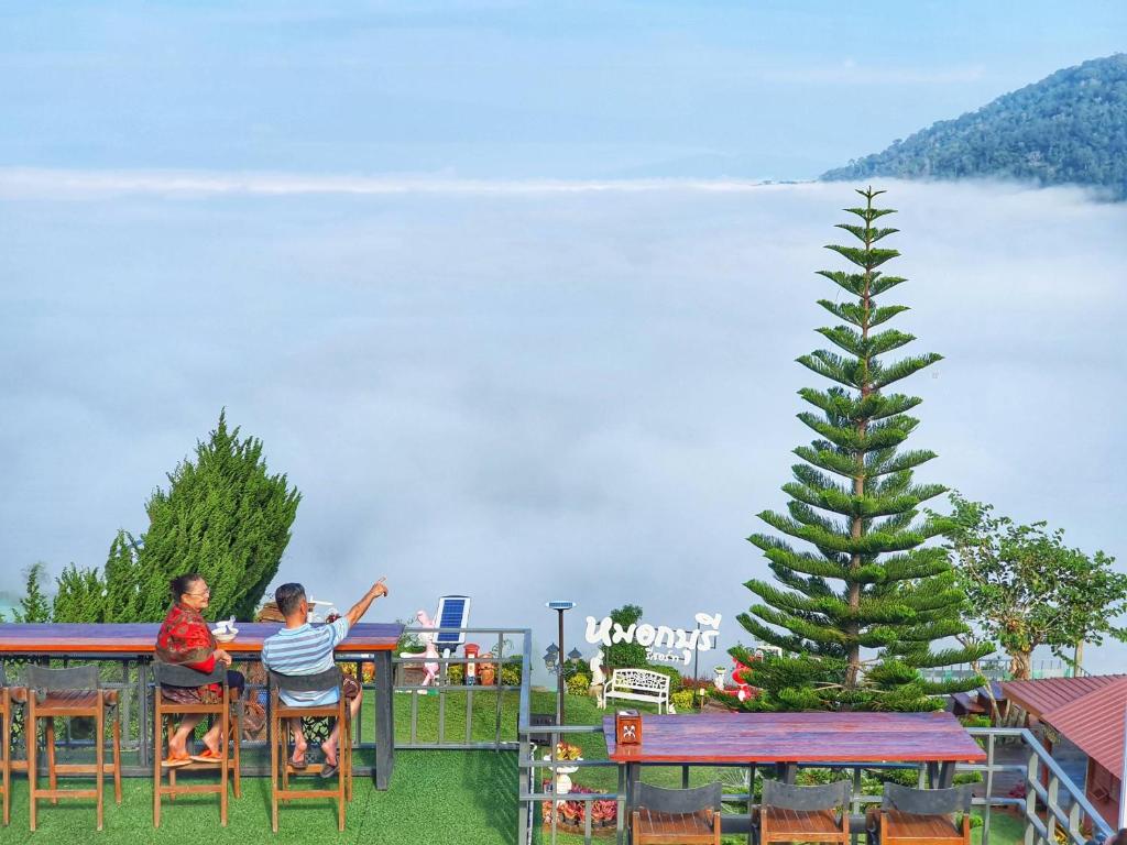 考科摩尔布里度假酒店的两个人坐在桌子上,手持圣诞树