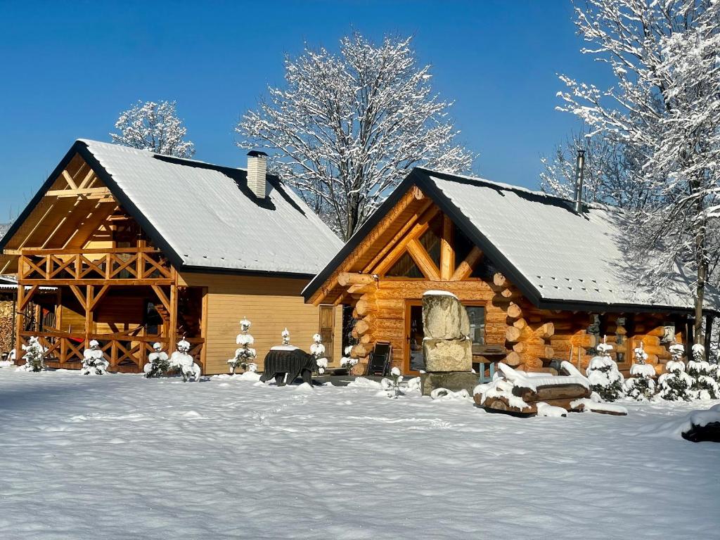 米库利钦Chalet PidStromom的小木屋,地面上积雪