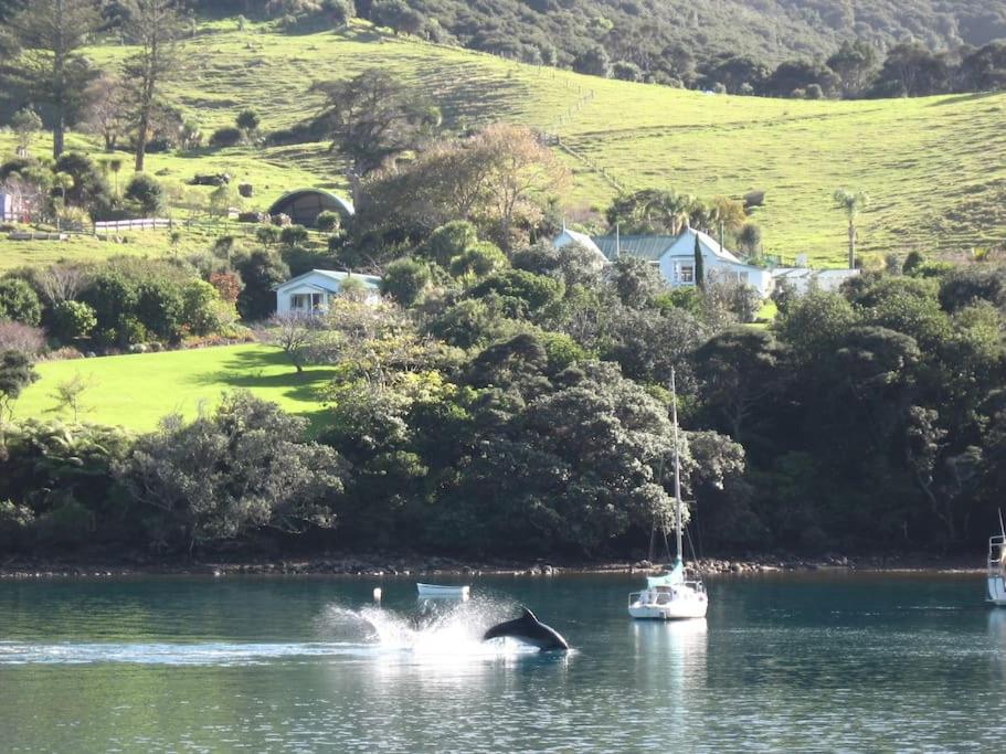 Port FitzroyGlenfern Sanctuary的水中的小船和鲸鱼