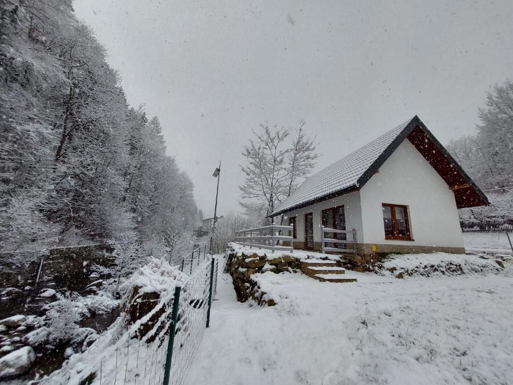 波德古任Chatka Podgórna的围栏前的雪覆盖的房子