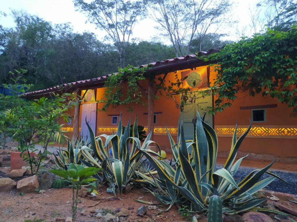 巴里查拉NOMAD Hostal - Barichara的一座种植了植物的橙色房子