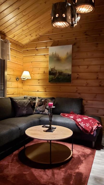 鲁卡Vuosselin Tähti的客厅配有沙发和桌子