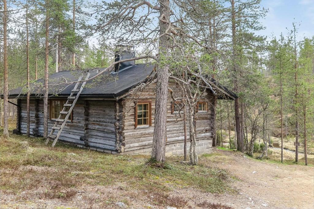 萨利色尔卡Kuukkeli Log Houses Aurora Cabin - Jaspis的树林里的小木屋,带梯子