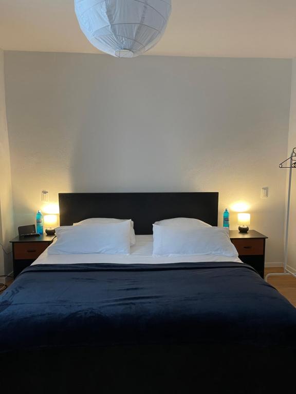 特里尔Trier City Center Apartments & Stadthaus, Zentrum的一间卧室配有一张大床和两个枕头
