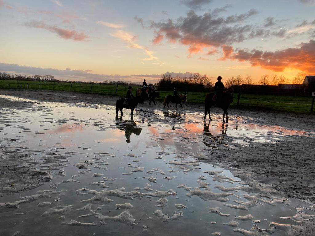 GarnwerdThe Horse Farm的一群人,在日落时分在水中骑马