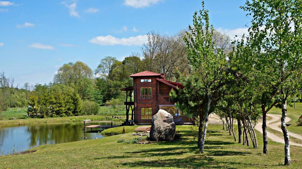 罗基什基斯Laukupės sodyba的湖畔公园的树屋