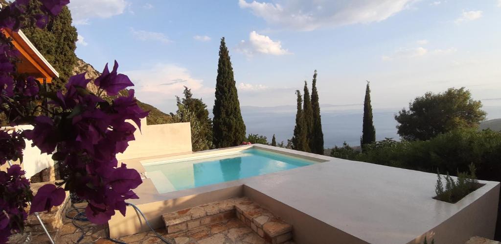 科帕罗Les Villas de Qeparo的紫色花朵别墅内的游泳池