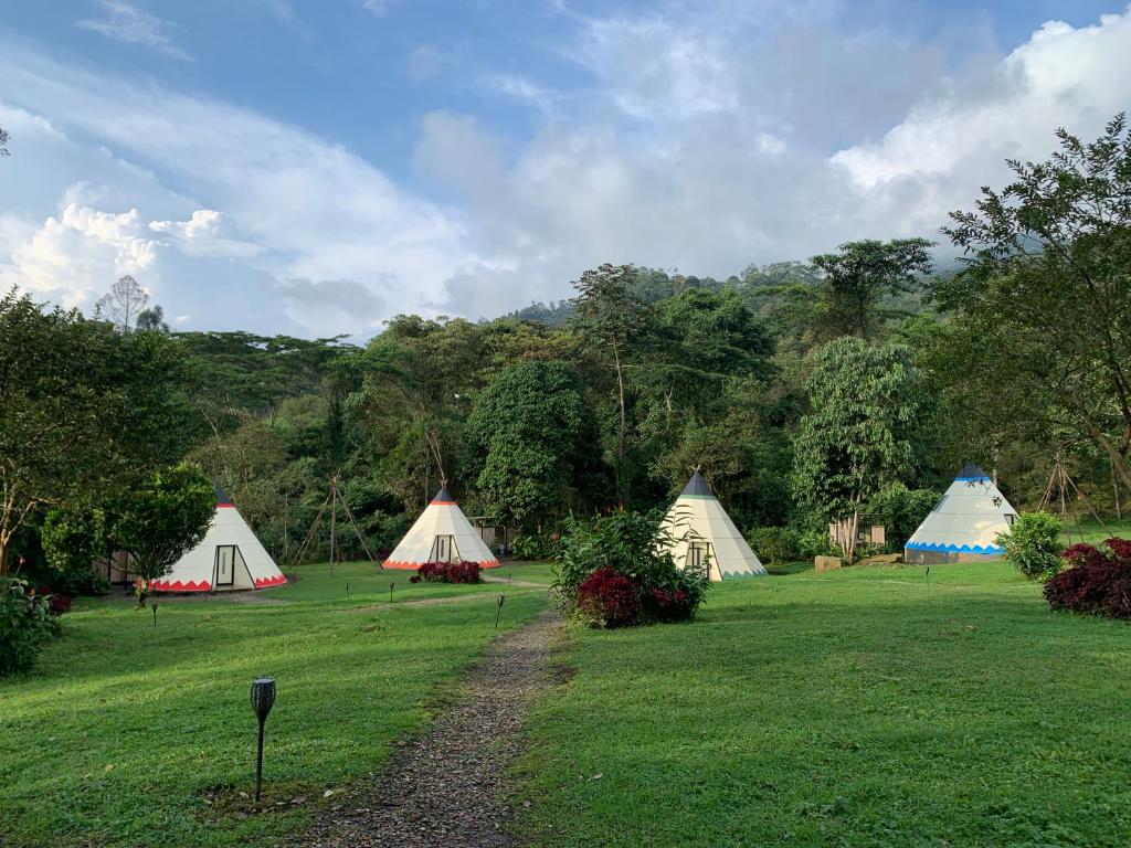 拉米萨Refugio Del Bosque Glamping的草场上的一组帐篷