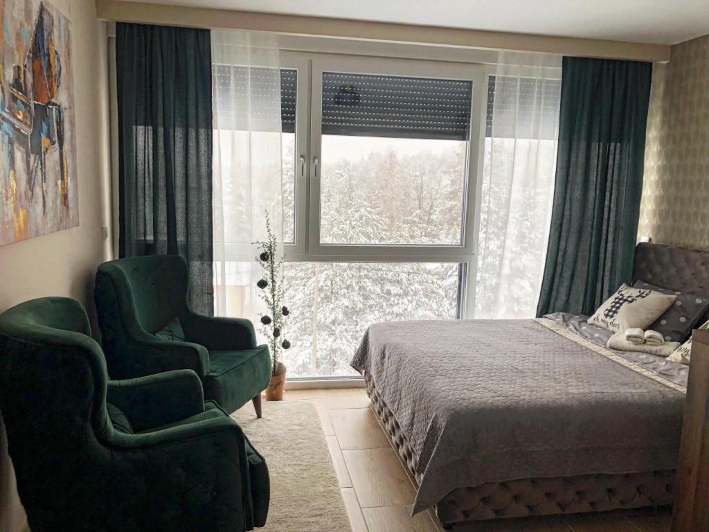 迪瓦伊巴雷Apartman Ambijent Divcibare的卧室配有床、椅子和窗户。