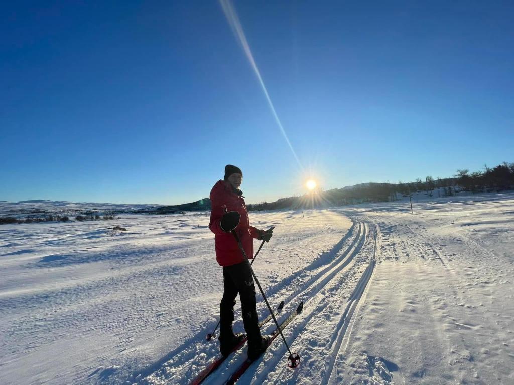 DagaliTorsetlia的一个人在雪中滑雪