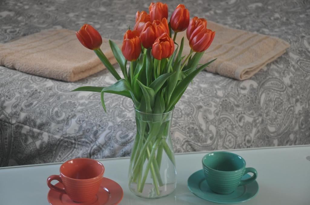 普瓦维Apartament przy Parku Czartoryskich的一张桌子上装着红色郁金香的花瓶,上面有两杯