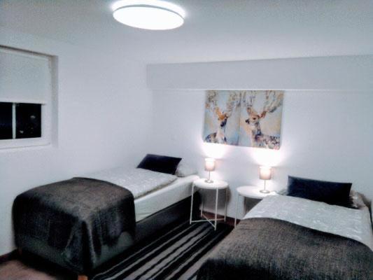 施莱登Ferienhaus Gemünd的一间卧室配有两张床和一张带两盏灯的桌子。
