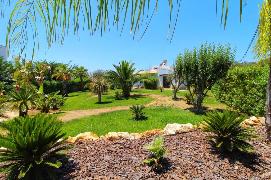 Mexilhoeira GrandeBeautiful Algarve Pool Villa Bali 15min to beach的棕榈树花园和背景房屋
