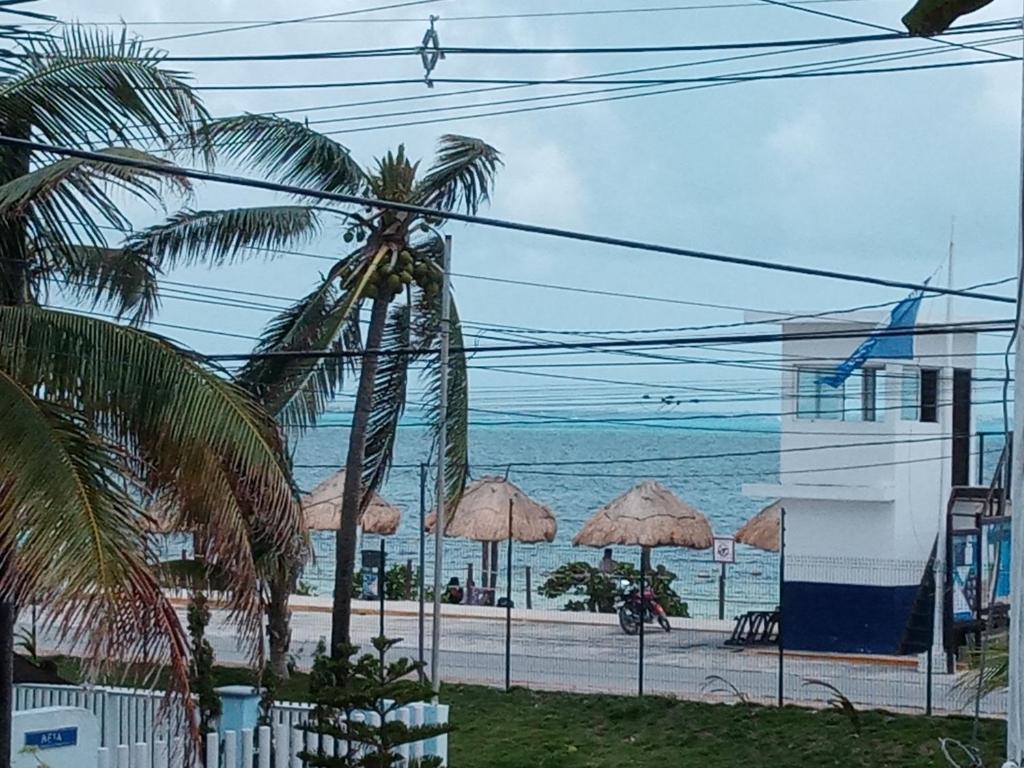 坎昆Caribbean Paradise的享有海滩美景,配有遮阳伞和海洋美景。