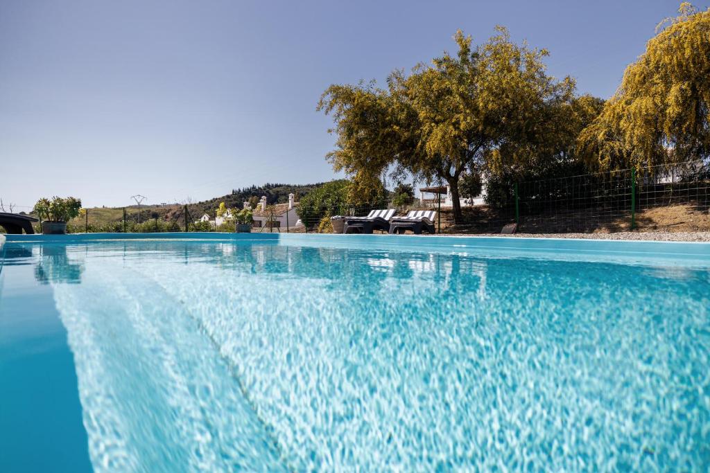 皮萨拉Casa de las Cañas / Castellanos的蓝色海水大型游泳池