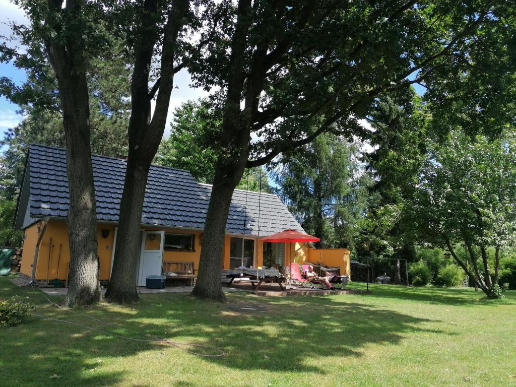 布尔格Bleichehof的前面有树木的黄色房子