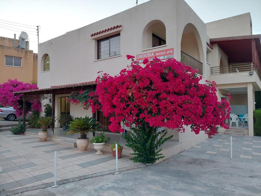 德鲁西亚德鲁西亚假日公寓的前面有粉红色花的建筑