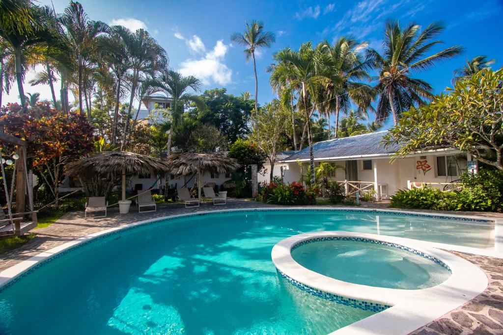 拉斯特拉纳斯Beach Hotel Casa Nina的棕榈树屋前的游泳池
