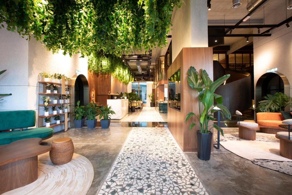 哥打京那巴鲁绿蔓酒店 – 万豪旅享家设计酒店品牌成员的商店里种植盆栽的大堂