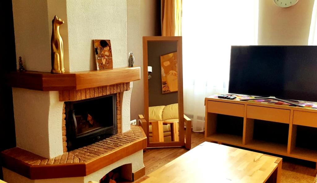 陶格夫匹尔斯Gustav House的客厅设有壁炉和电视。