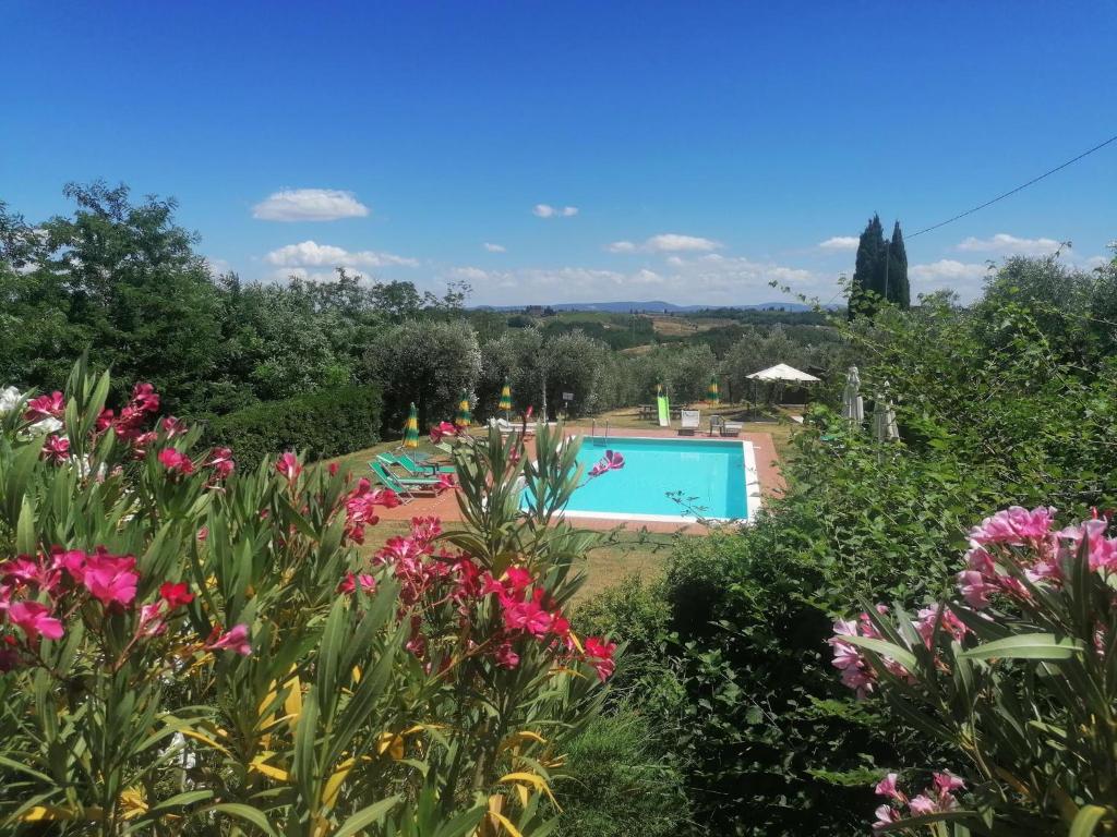 泰里乔拉Agriturismo Terre di Toscana的花园享有游泳池的景致。