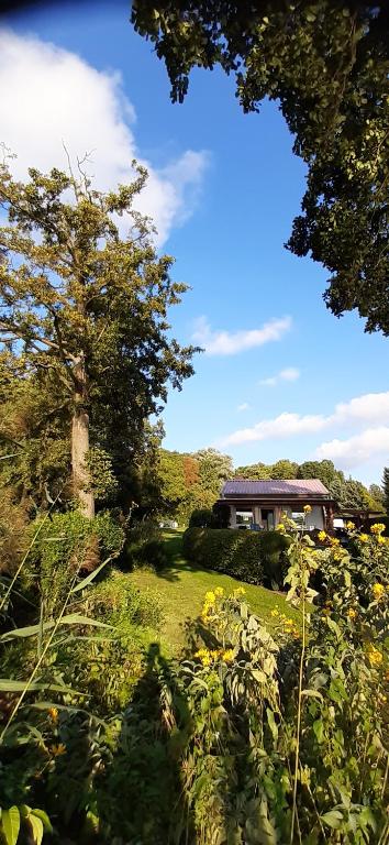诺伊鲁平Bungalow Idylle Am See的一座花园,花园内有树和房子
