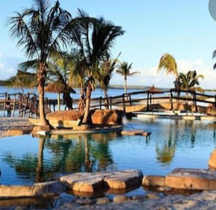 普拉伊拉多比莱尼Nghunghwa Lodge的一座种植了棕榈树和水的室外游泳池