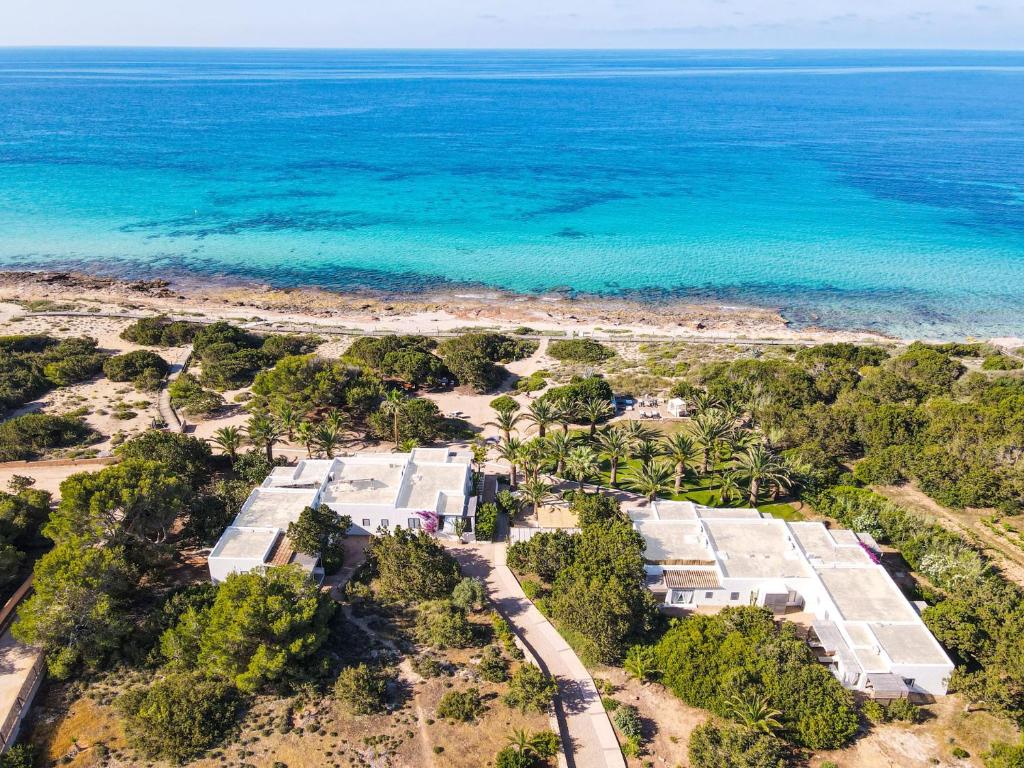 米乔尔海滩Talaya Formentera的享有海滩和海洋的空中景致