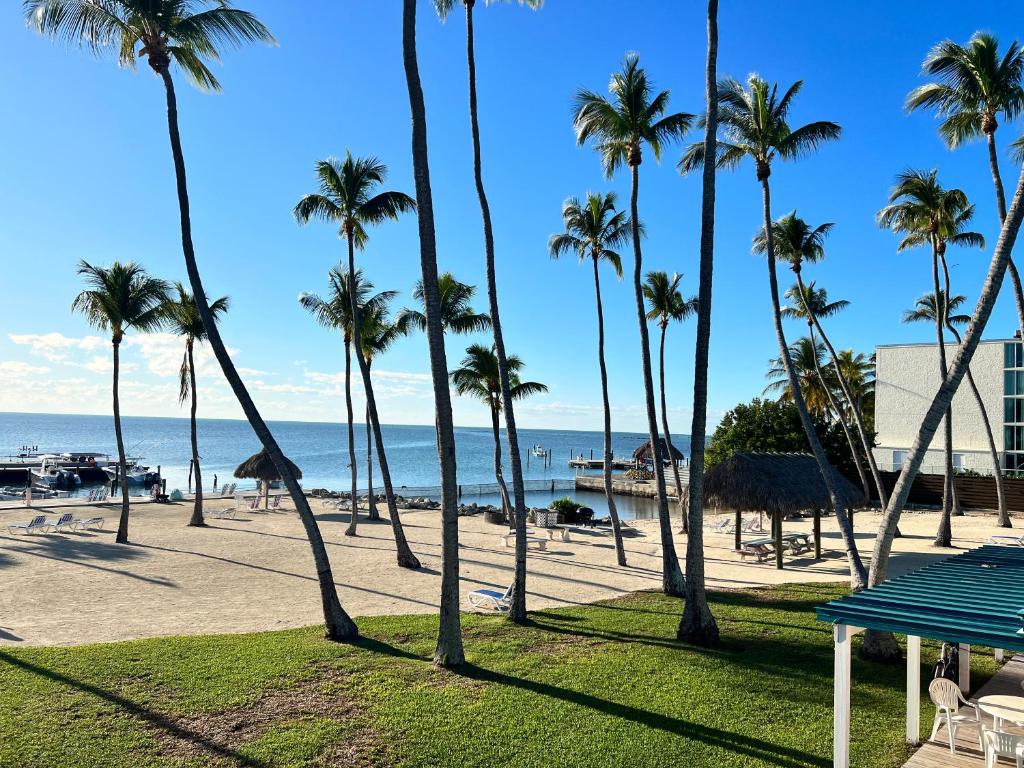 伊斯拉莫拉达Breezy Palms Resort的享有棕榈树海滩和大海的景色