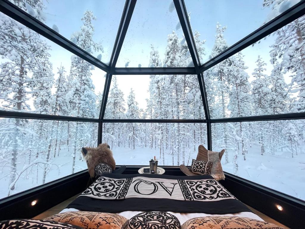 萨利色尔卡Aurora Queen Resort Igloos的玻璃圆顶卧室享有雪覆盖的树木景致