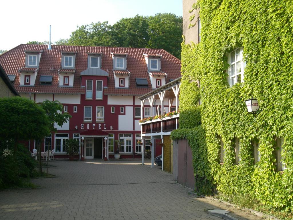 辛斯海姆赫希跨国酒店的一条长着常春藤的鹅卵石街道