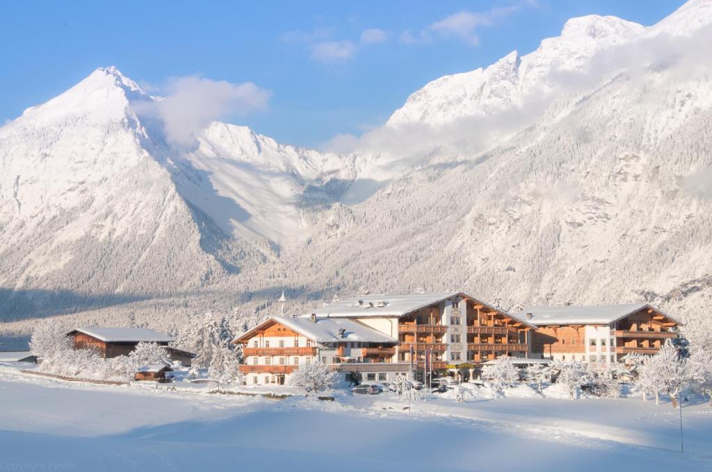 阿尔普巴赫谷地赖特佩奇纳霍夫酒店的雪中小屋,背景是一座山