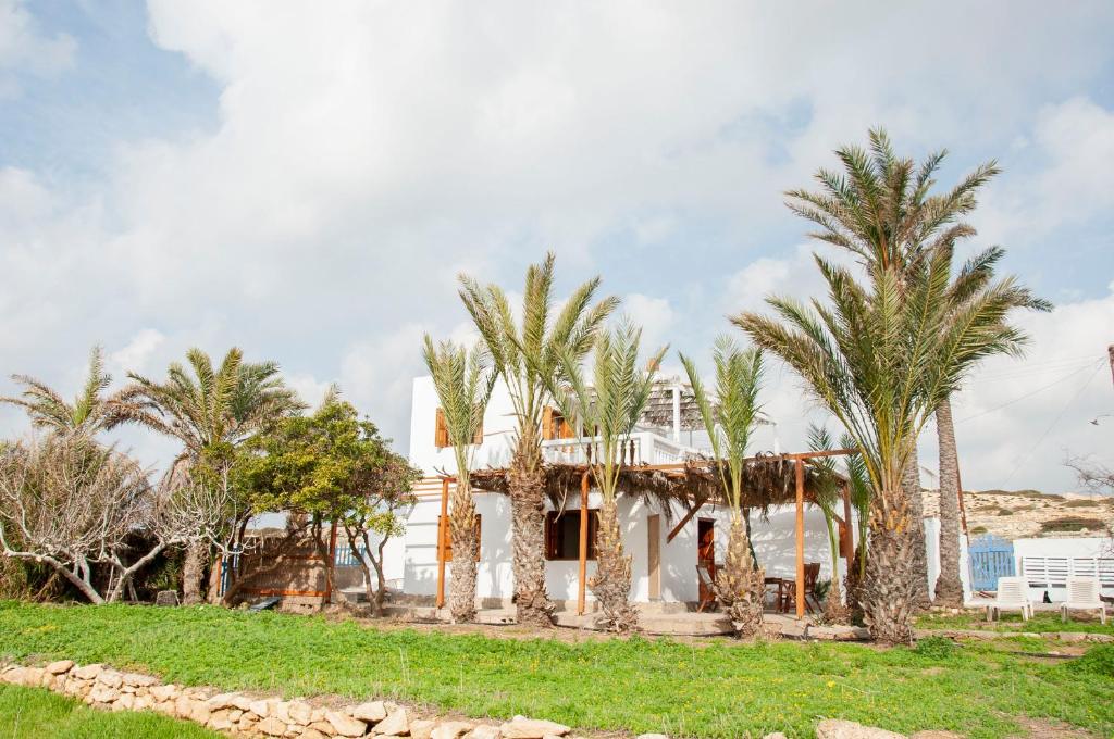 奇波斯阿费提Palmhouses的前面有棕榈树的房子