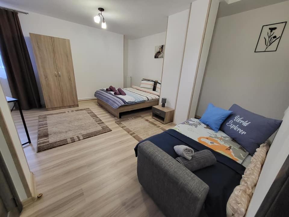 托普利察Casa 115 Toplița的一间卧室配有一张床和一个沙发