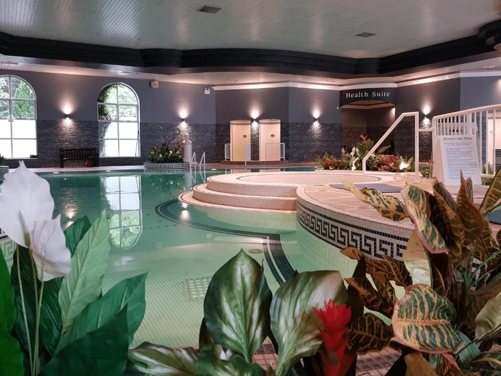 科克罗切镇公园酒店的一座种植了植物的游泳池