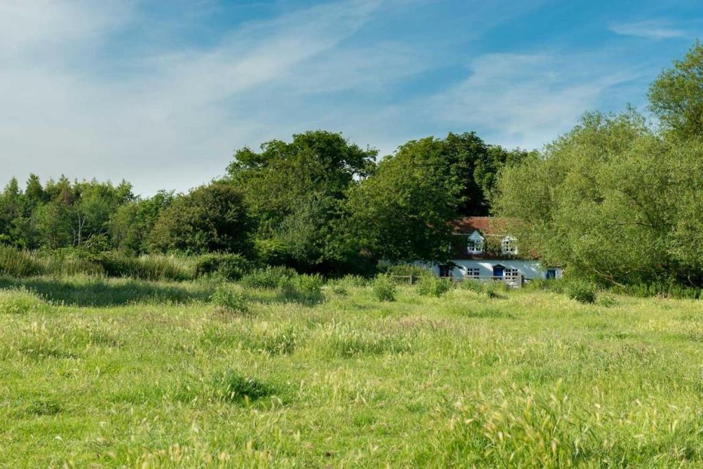 西默西The Wobbin, Remote, Comfort, Sea Views and the beautiful Essex Marshes的草场,有房子的背景